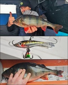 Mikko Lampi, ahven ja ottipeli